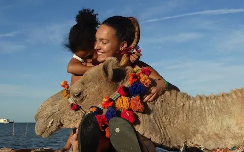 Camel ride with colorful decorations, Sharm El Sheikh.