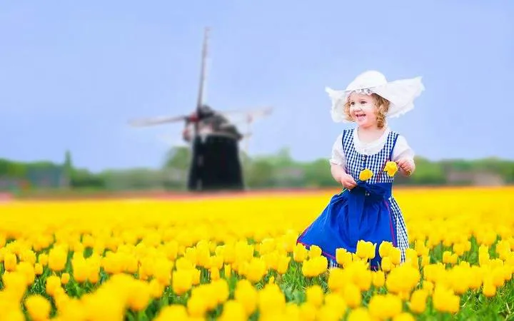 Child in traditional dress among tulips with windmill in Keukenhof Gardens, Netherlands.