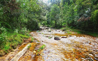 Stream flowing through lush forest in Sapa, Vietnam, part of motorbike sightseeing tour.