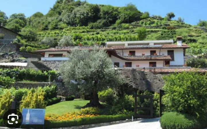 Domaso winery with vineyard terraces on Lake Como, Italy.