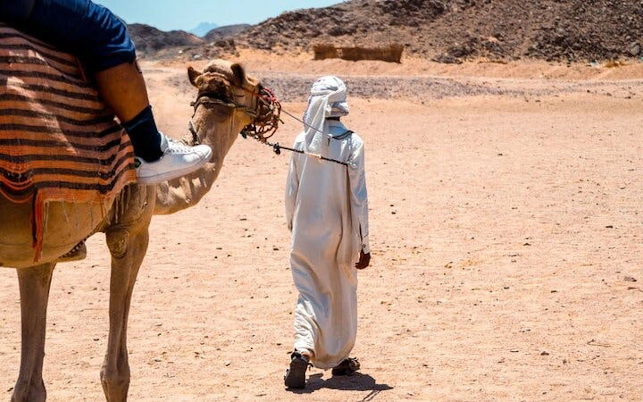 Un'ora di giro in cammello nel meraviglioso deserto, con trasferimento incluso - Sharm el-Sheikh — 8