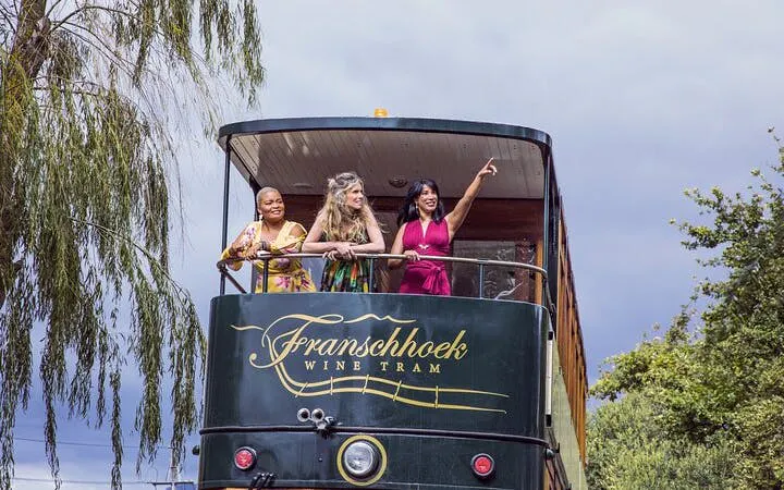 from cape town: franschhoek wine tram hop-on-hop-off tour with return transfers-6