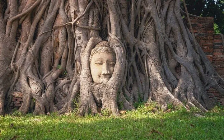 bangkok: tour zum riesenbuddha und zum jenseits von ayutthaya-8
