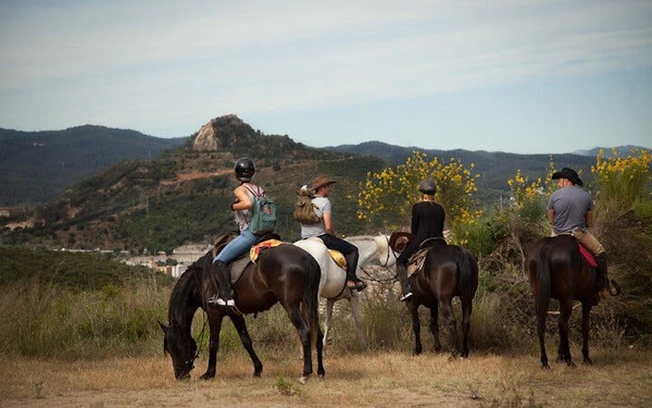 Alanya Horse Riding Experience