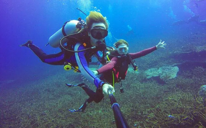 Scuba divers exploring coral reef, Sharm El Sheikh.