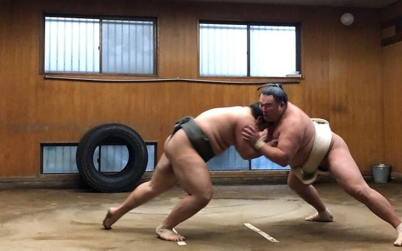 Visite guidée de l'entraînement matinal de sumo à Tokyo avec place au bord du ring + séance photo — 9