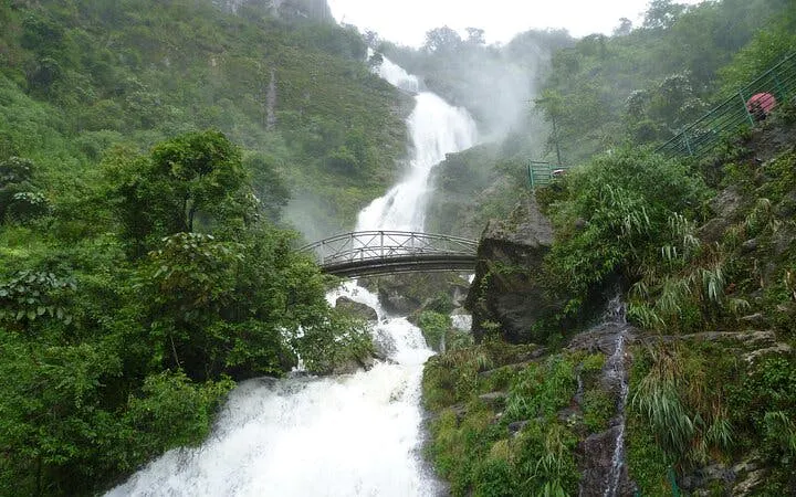 Silver Waterfall cascading with a bridge in lush greenery, part of the private car tour.