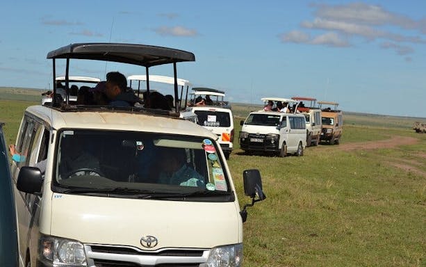 nairobi urban safari: half-day wildlife adventure-5