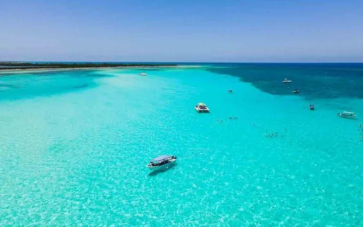 Cozumel El Cielo Starfish Sanctuary and Reefs Snorkel Tour with Fresh Ceviche