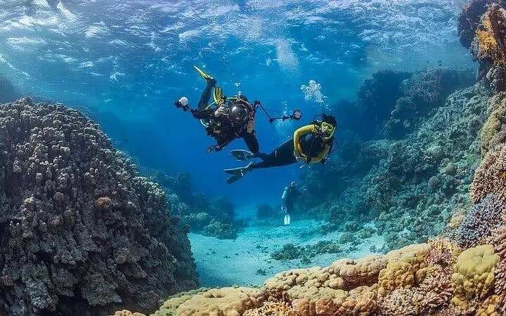Scuba Diving and Snorkeling Trip in Side