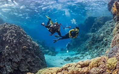 Scuba Diving and Snorkeling Trip in Side