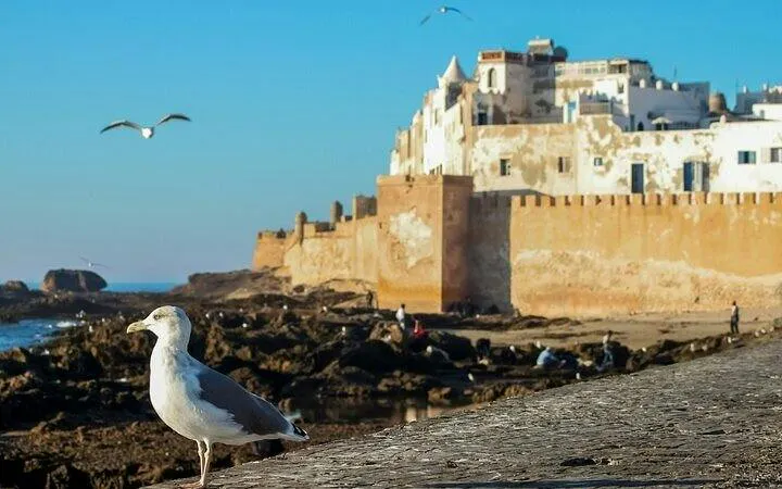 Day Trip to Essaouira City Tour, Cooking Class & Lunch– Marrakech