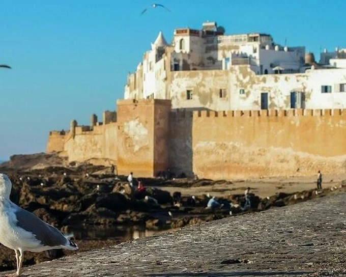 Day Trip to Essaouira City Tour, Cooking Class & Lunch– Marrakech