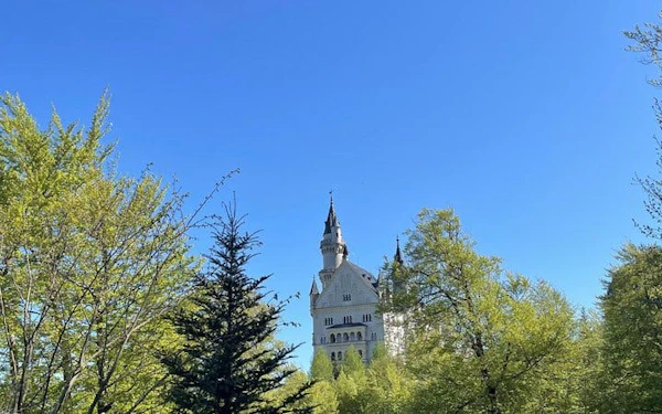Neuschwanstein castle guided tour with Skip-the-Line Tickets & Bus-Shuttle