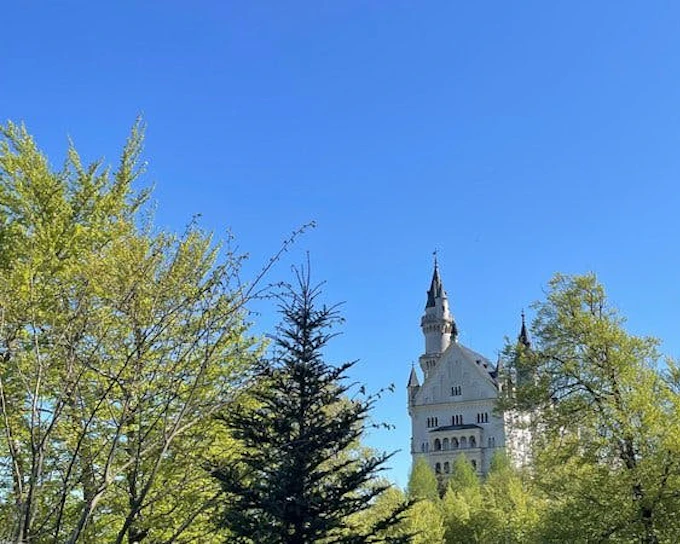 Neuschwanstein castle guided tour with Skip-the-Line Tickets & Bus-Shuttle