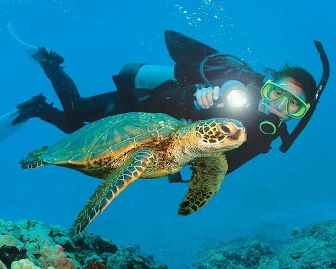 Alanya Scuba Diving and Snorkeling Trip (Product 46082)