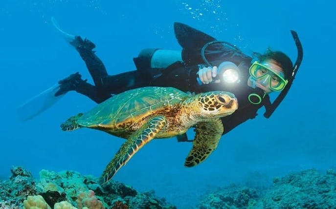 excursie de scufundări și snorkeling în alanya-1