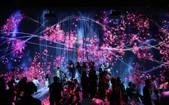 Visitors exploring digital art installations at teamLab Borderless in Tokyo.