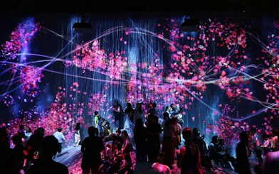 Visitors exploring digital art installations at teamLab Borderless in Tokyo.
