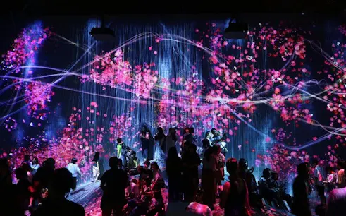 Visitors exploring digital art installations at teamLab Borderless in Tokyo.