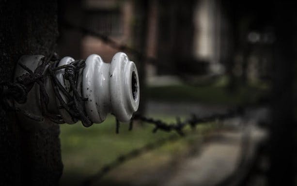 tur ghidat la auschwitz-birkenau - bilete și transport din cracovia-3