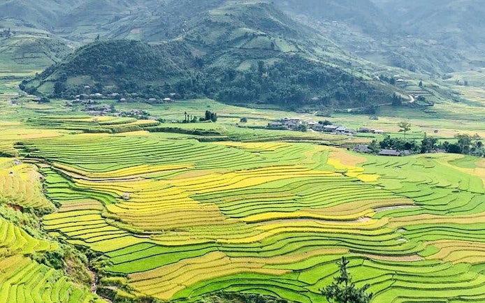 Terraced rice fields in Sapa with distant mountains, part of a motorbike tour including Cat Cat Village.