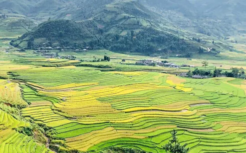 Terraced rice fields in Sapa with distant mountains, part of a motorbike tour including Cat Cat Village.