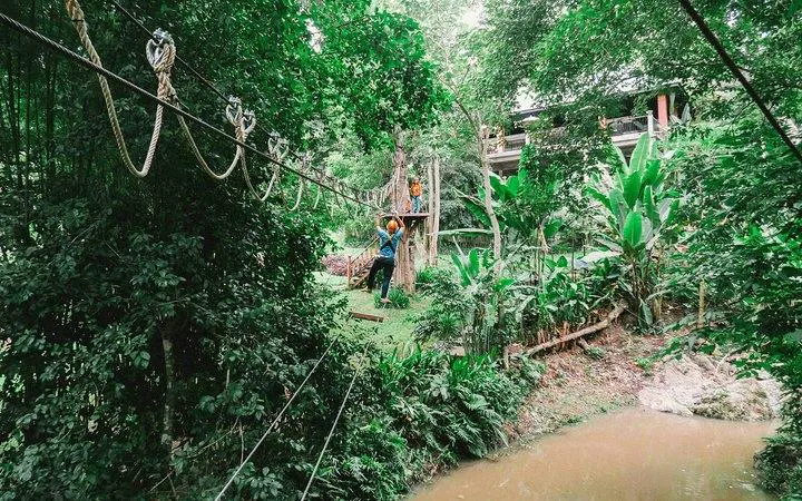 Zipline course through lush forest at Phoenix Adventure Park, Chiang Mai.