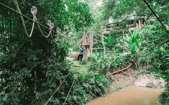 Zipline course through lush forest at Phoenix Adventure Park, Chiang Mai.