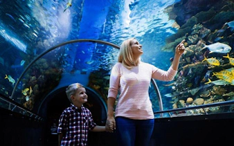 antalya aquarium & fun park tour–all-inclusive with hotel pickup-4