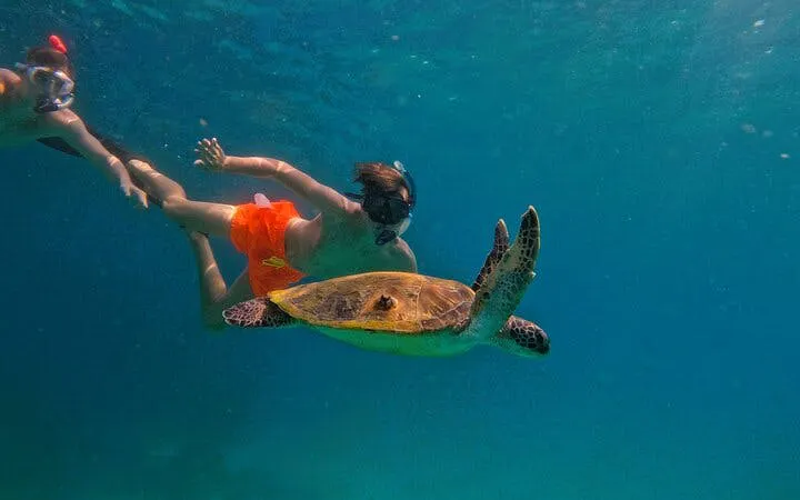 From Abu Dhabi: Fujairah Snorkeling Day Trip with  Transfer