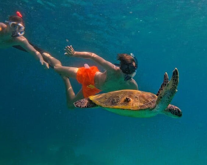 From Abu Dhabi: Fujairah Snorkeling Day Trip with Transfer (Product 52612)