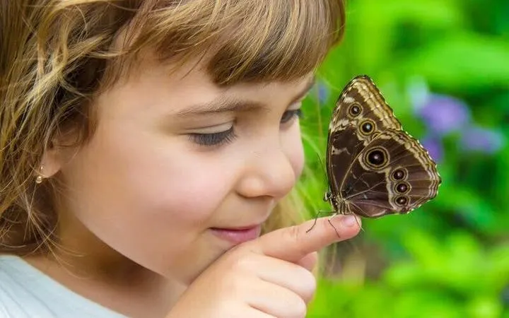 Child interacting with butterfly at Antalya Tropical Sanctuary.