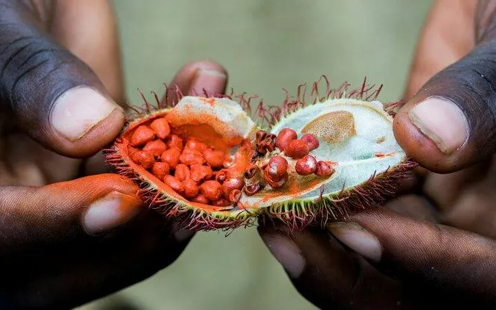 Zanzibar Spice Farm Guided Tour