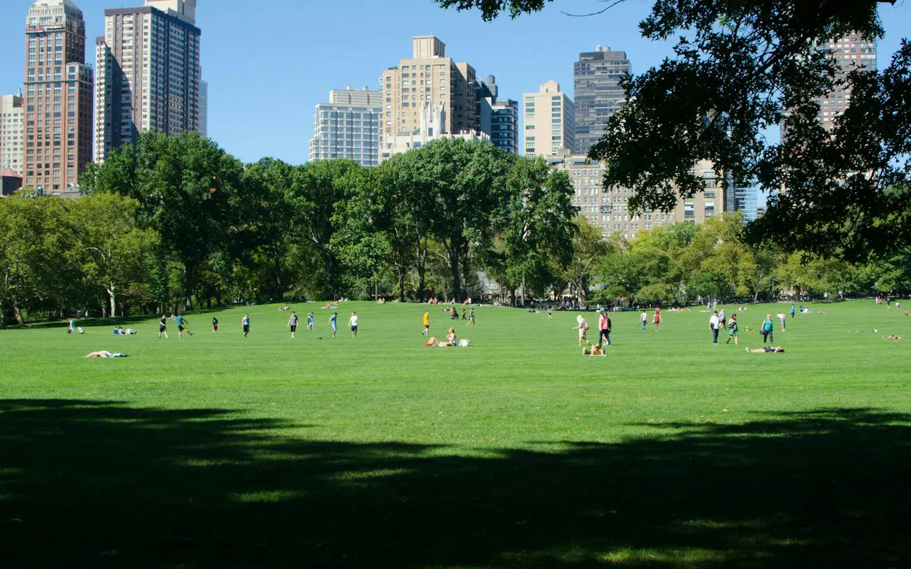 People enjoying a sunny day on the Great Lawn in Central Park, New York City, with skyscrapers in the background.