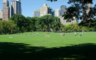 People enjoying a sunny day on the Great Lawn in Central Park, New York City, with skyscrapers in the background.