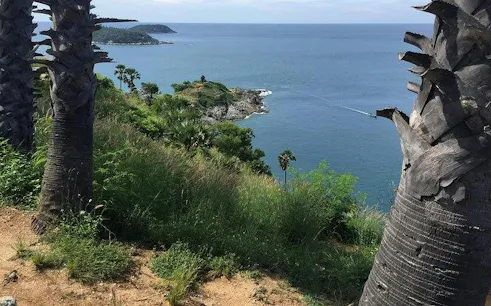 Phuket coastline view with palm trees and ocean from a private island tour.