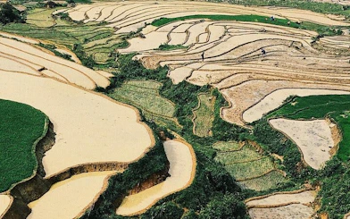 Terraced rice fields in Sapa, Vietnam, part of a motorbike tour through villages and hot springs.