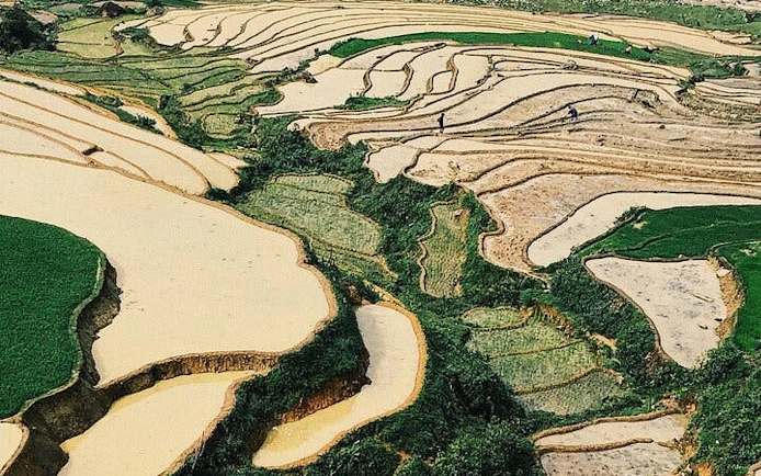 Terraced rice fields in Sapa, Vietnam, part of a motorbike tour through villages and hot springs.