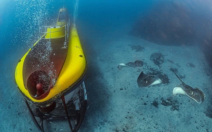 Submarine exploring ocean floor with stingrays, Tenerife tour.