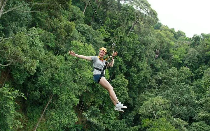 Chiang Mai jungle zipline adventure through lush forest canopy.