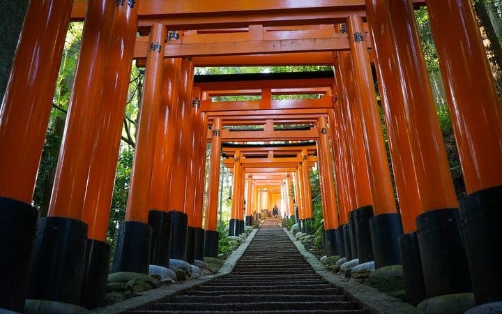 tur de drumeție în zona ascunsă a parcului fushimi inari (opțiune privată disponibilă)-5