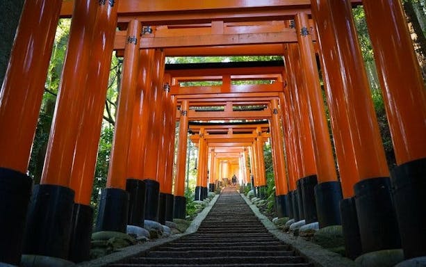 tur de drumeție în zona ascunsă a parcului fushimi inari (opțiune privată disponibilă)-5