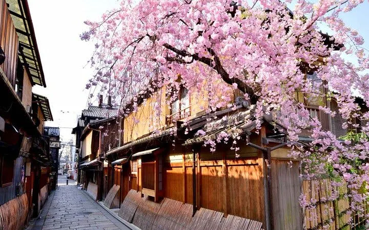 Kyoto Gion Walking Tour of Hidden Gems and Geisha Culture with Local Guide Image 10