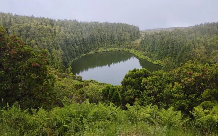 Pico Island Highlands and Volcanic Lagoons Guided Tour Image 10