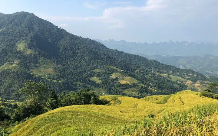 Bac Ha and Ban Phung Motorbike Tour from Sapa with Homestay and Ethnic Village Visits (Product 54185)
