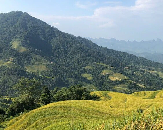 Bac Ha and Ban Phung Motorbike Tour from Sapa with Homestay and Ethnic Village Visits (Product 54185)