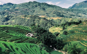 Terraced rice fields in Sapa with a homestay in Ta Phin Village, Vietnam.