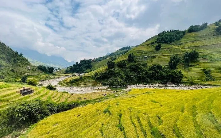Terraced rice fields in Sa Pa with mountains and cloudy sky in the background.