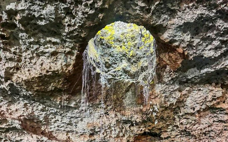 Yaxmuul Sacred Cenotes Guided Tour and Mayan Purification Ceremony Tickets